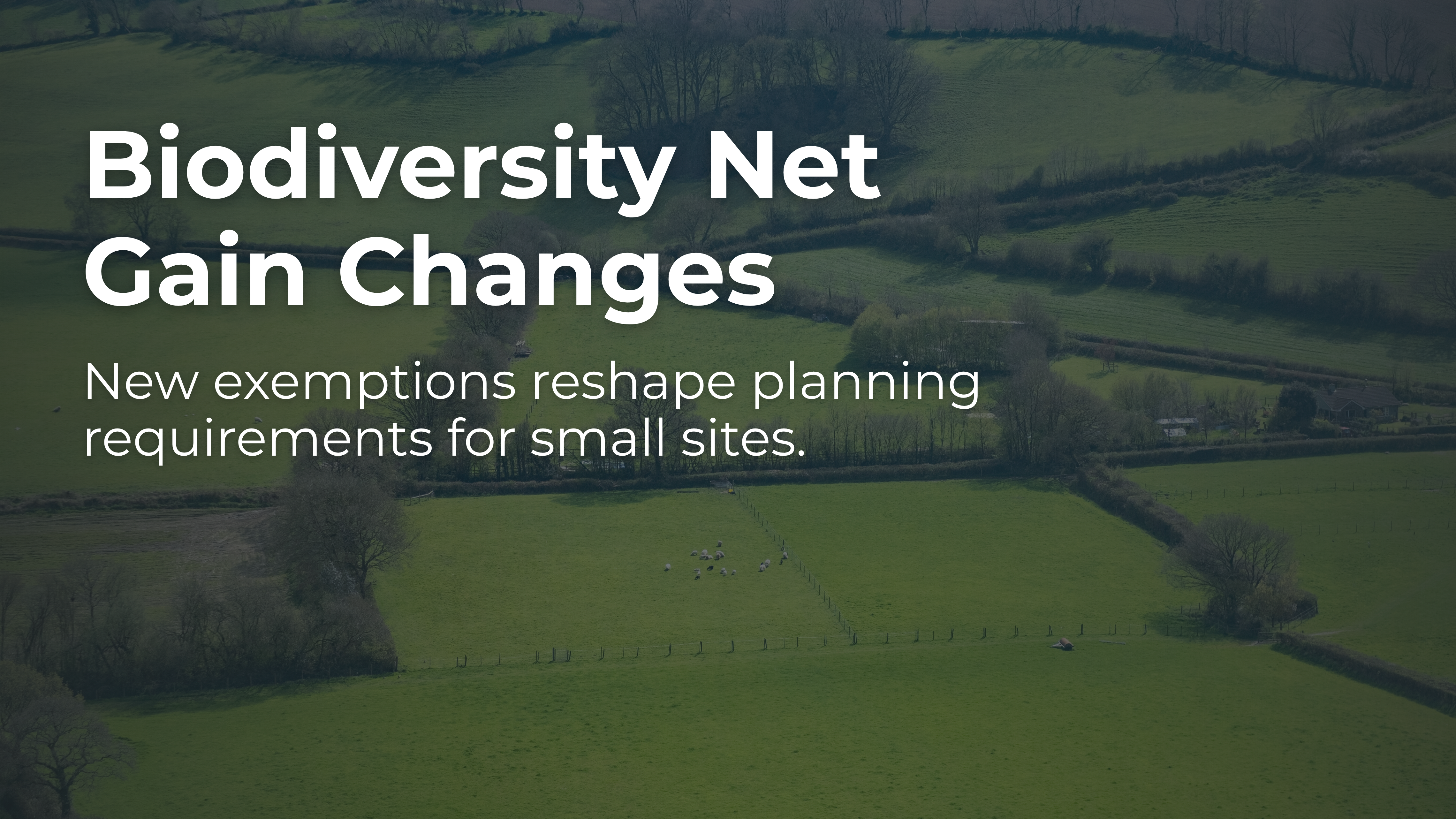 Biodiversity Net Gain changes